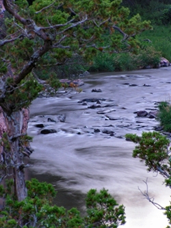 Photo of a mountain stream